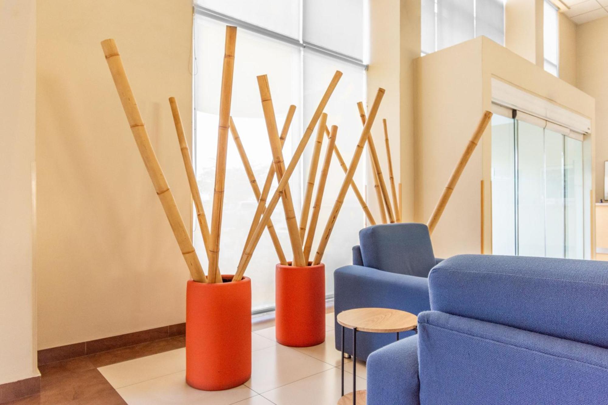 City Express By Marriott Ciudad Obregon Ngoại thất bức ảnh